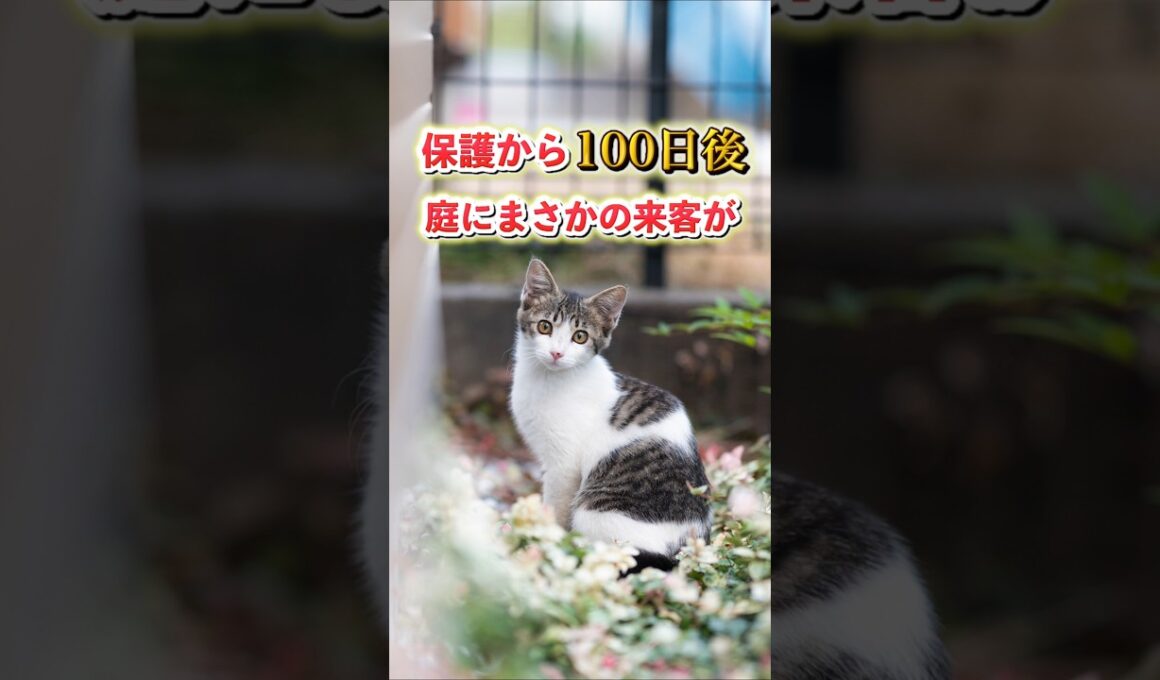 【衝撃】保護から100日後。庭にまさかの来客が！