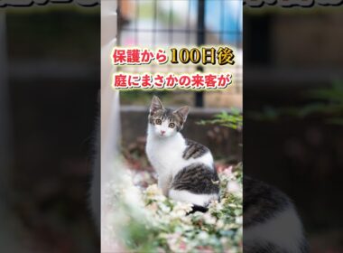 【衝撃】保護から100日後。庭にまさかの来客が！