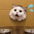 ラストものすごく面白いのでぜひ最後まで見てください！！