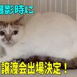 61多頭崩壊っ子をご紹介するつもりがまさかの展開になりました