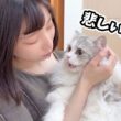 とある事情で子猫がガチで凹んじゃいました…汗