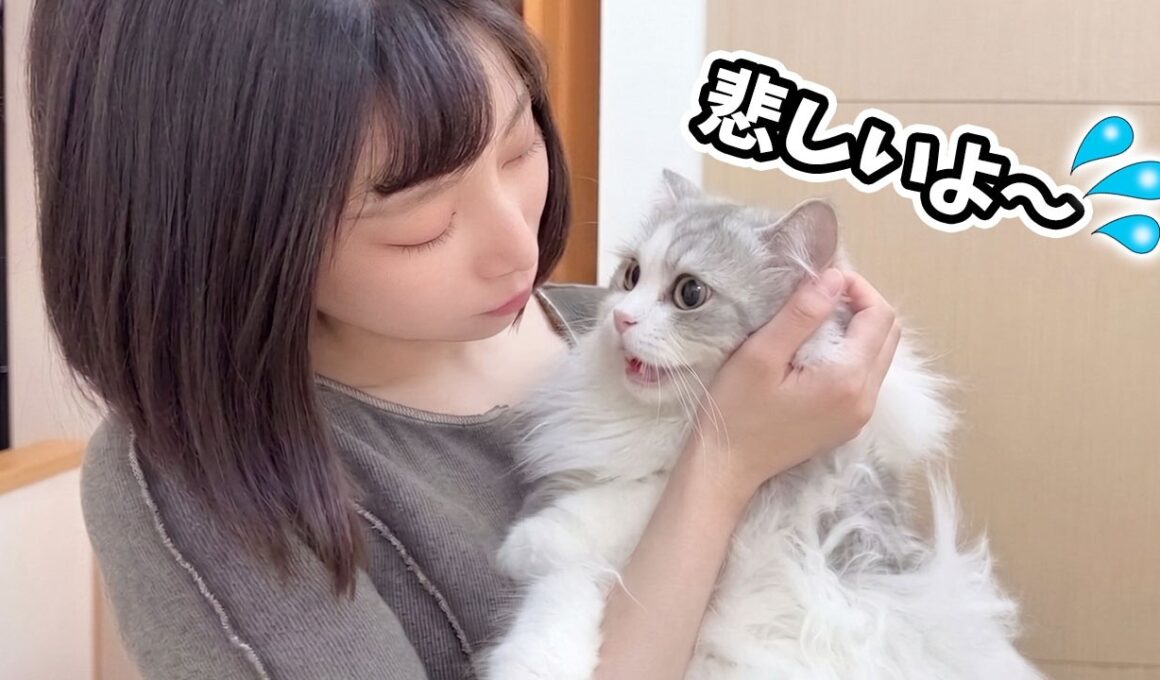 とある事情で子猫がガチで凹んじゃいました…汗