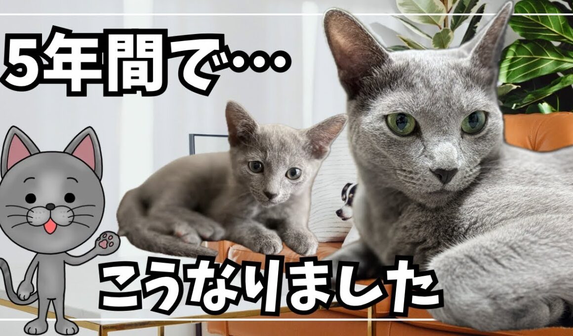 5年間、毎日一緒にいた結果…