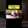 マッシュルーマーつくし　#猫 #おもしろ #アテレコ #ニャンチューバーつくし