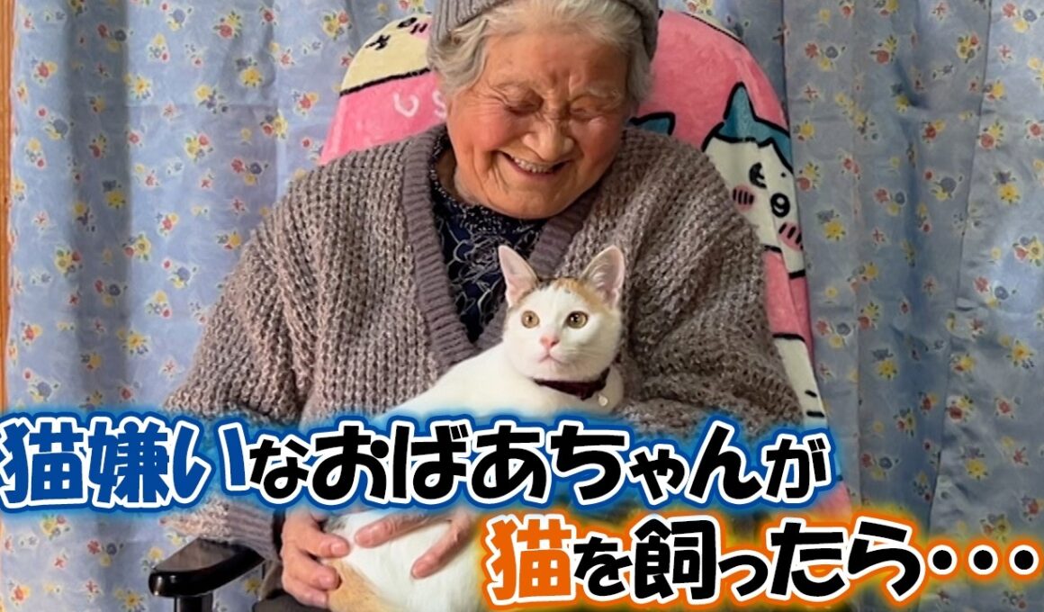 歳の差８７歳！子猫とおばあちゃんの日常