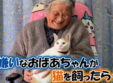 歳の差８７歳！子猫とおばあちゃんの日常