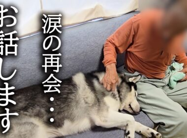 5年振りに闘病中のじっちゃんと再会して涙が止まりません...