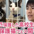 猫の保護に人生を捧げる高校生が開催する大規模な【猫譲渡会フェス】に密着！【保護猫】