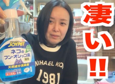 もう臭わない！猫のおしっこ臭に”最強アイテム”見つけた！！