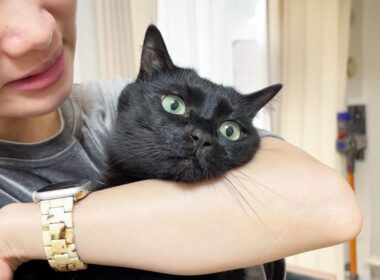 大好きなママと、しばらくお別れです…