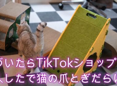 気づいたらTikTokショップ購入したで猫の爪とぎだらけ