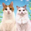 猫たちの七夕の願いことがヤバすぎた…