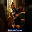 ミニチュアピンシャ VS ヒマラヤン「どっちがおうちの人気者!?」 #猫のいる暮らし