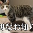 にものを応援してくださっている皆様へ