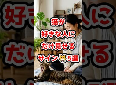 猫が好きな人にだけ見せるサイン5選　#猫のいる暮らし #ねこたんの解説 #猫好きさんと繋がりたい #子ネコ #ねこ #猫 #猫のいる生活 #好きな子猫 #猫動画 #ネコ #にゃんこ