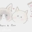 【ママ誕生日配信】七夕のお願い事なににしたー？🎋🌌猫のかわいさで暑さも吹き飛ばそう🌟