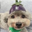 緊急で病院に向かうことに...