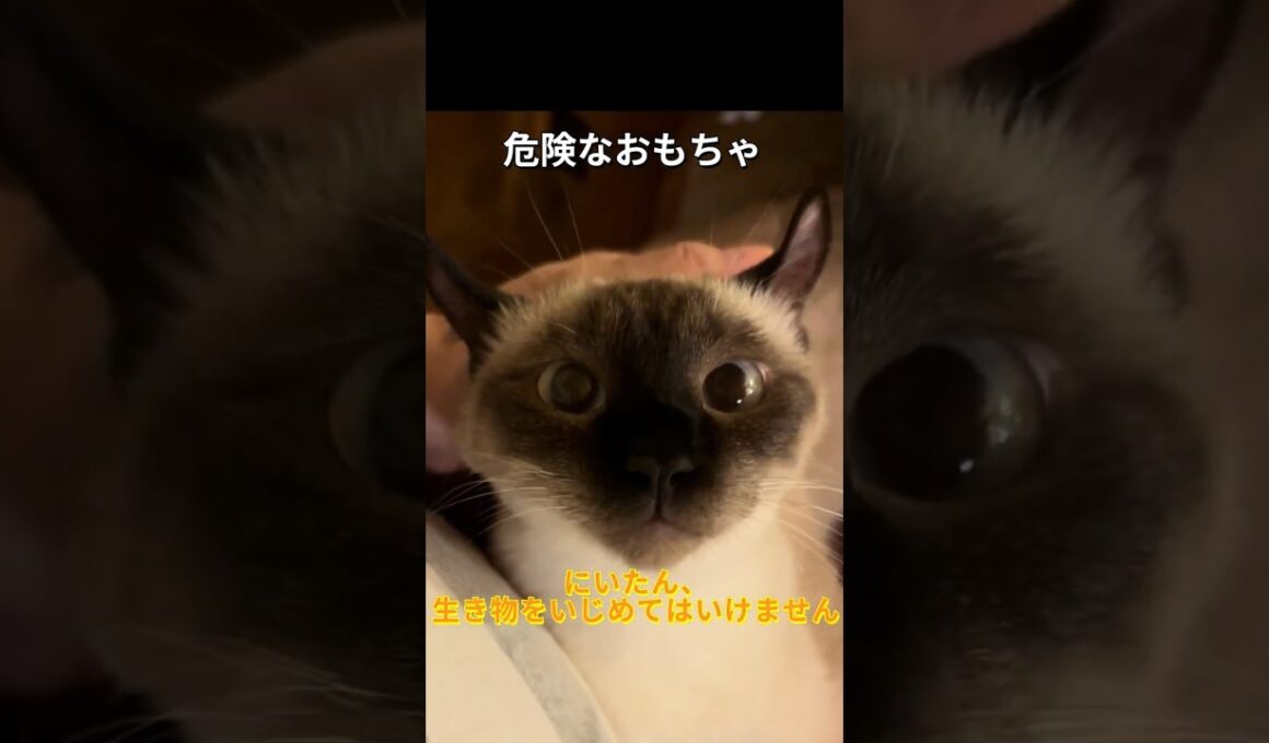 危険なおもちゃ