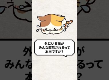 Q：外にいる猫は駆除されるって本当？ #猫 #野良猫 #保護猫