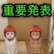 皆さまに重要発表があります...