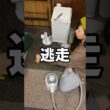 グルーミング掃除機便利すぎる…🐱#ショート