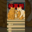 「家を奪われた子猫たちの結末が涙腺崩壊…」