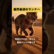 猫の紹介:エジプシャンマウ #猫