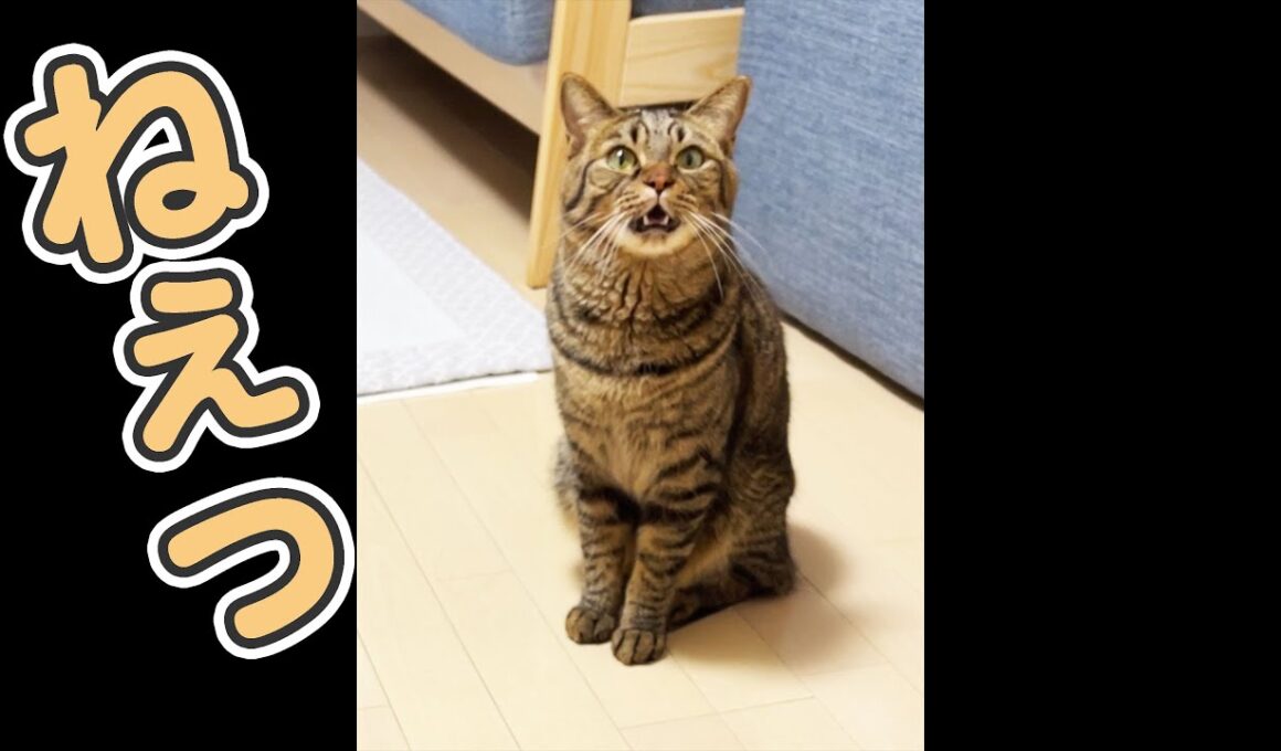 僕の存在価値って…