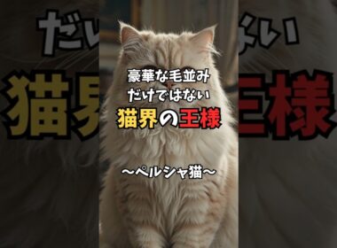 豪華な毛並みだけじゃない！ペルシャ😽が「猫界の王様」と呼ばれる理由 #shorts  #猫のいる暮らし #猫雑学 #猫好きさんと繋がりたい