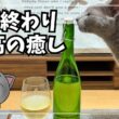 仕事終わり、猫と白ワイン。今日も平和な一日でした｜ロシアンブルーのいる暮らし