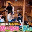 【850匹保護】老舗旅館の庭にネコ60匹!? 猫に人生を捧げる18歳少女と家族の涙の物語