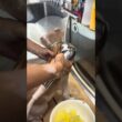 アメリカンカールのびいたくんが来てくれました　京都市南区　ペットサロンみぃ〜