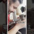 猫が「実は嫌がっている」こと3選