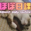 バーマン猫ラフ【ほぼ日課】Almost daily routine（バーマン猫）Birman/Cat