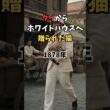 タイからホワイトハウスへ贈られた猫｜海と大陸を越えたシャム猫「サイアム」 #シャム猫 #猫雑学 #Shorts #猫のいる暮らし #猫好きさんと繋がりたい