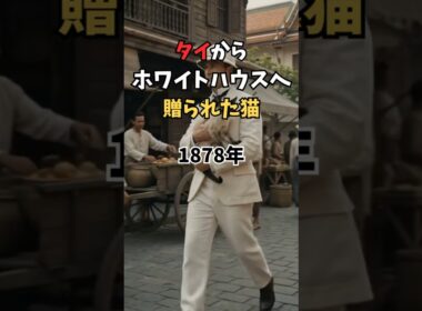 タイからホワイトハウスへ贈られた猫｜海と大陸を越えたシャム猫「サイアム」 #シャム猫 #猫雑学 #Shorts #猫のいる暮らし #猫好きさんと繋がりたい