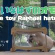 【きらいなはずのオモチャ】The toy Raphael hates（バーマン猫）Birman/Cat