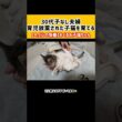 14 暴れる子猫を子猫巻きしてみたら… #子猫 #子ネコ #保護猫と暮らす #保護猫 #好きな子猫 #ねこ #猫のいる生活