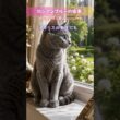 【高貴すぎるルーツ】ロシアンブルーは元「皇帝や女王」の愛玩猫だった!美しいエメラルドグリーンの瞳とツンデレな性格が魅力的すぎる。ツンデレ猫好きな人いる？ #猫の雑学 #ロシアンブルー #猫動画 #sh