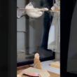 いつか届くかな #cat #子猫の成長日記 #猫のいる暮らし
