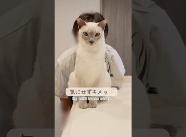 キメ顔がかっこいい甘えん坊猫ですが…実は🥹💕