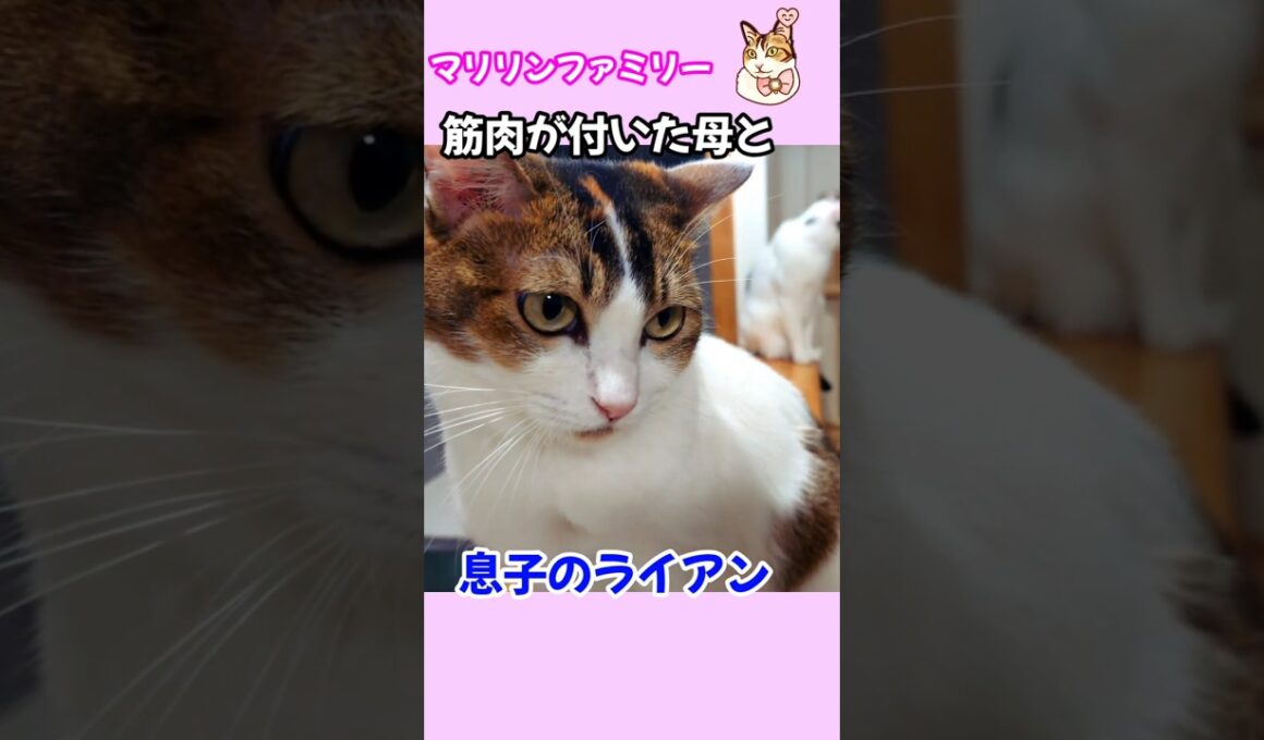 筋肉が付いた母マリリンと息子のライアン