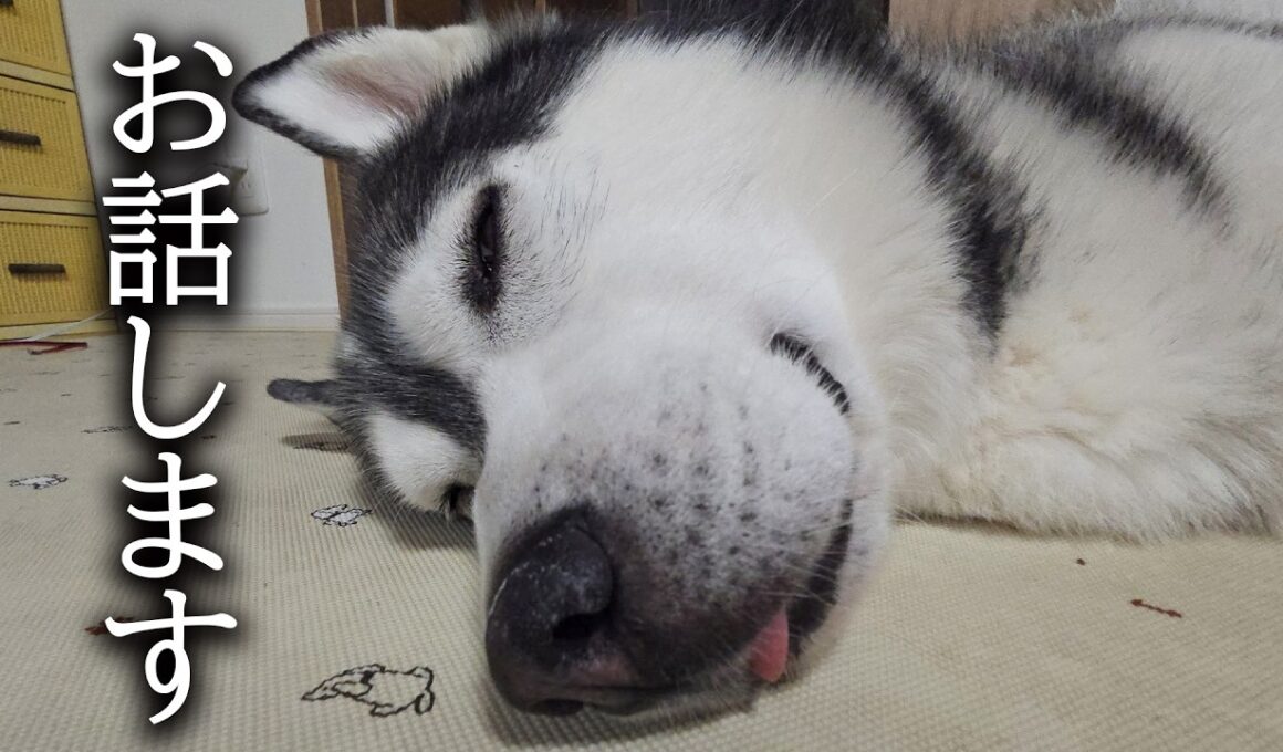 ご飯を食べなくなった理由が分かりました...