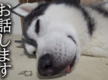 ご飯を食べなくなった理由が分かりました...