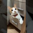 そこはパンツ置き場なんですけど…。