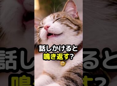 ネコはなぜ話しかけると鳴き返す？実は返事をしていた