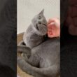 朝は静か#ルネ