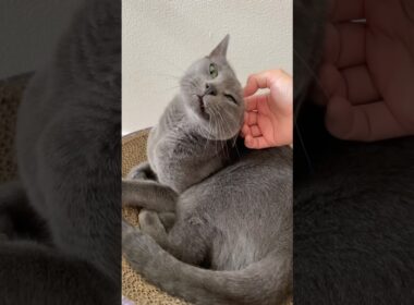 朝は静か#ルネ