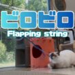 バーマン猫ラフとガブ【ビロビロ】Flapping string（バーマン猫）Birman/Cat