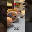 流石に入れない　#ラグドール #子猫 #猫のいる暮らし #ragdoll